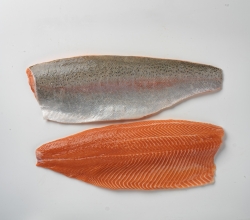 The AMS Food Ltd is trade company specialized on seafood sale