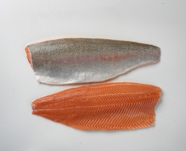 The AMS Food Ltd is trade company specialized on seafood sale