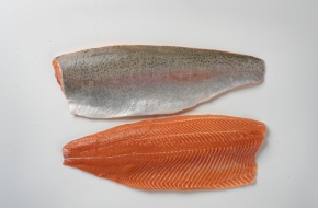 The AMS Food Ltd is trade company specialized on seafood sale