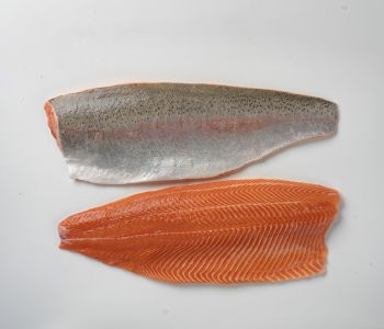 The AMS Food Ltd is trade company specialized on seafood sale