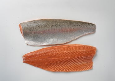 The AMS Food Ltd is trade company specialized on seafood sale