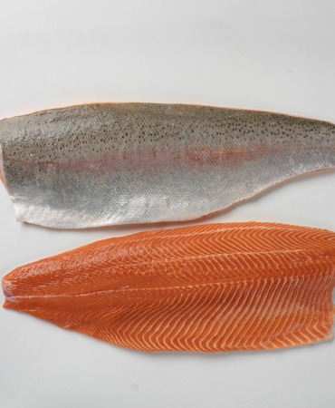 The AMS Food Ltd is trade company specialized on seafood sale